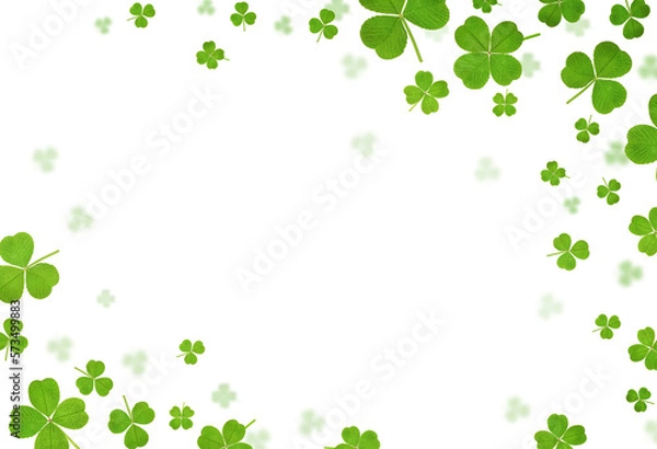 Fototapeta clover leaves are scattered in the form of a frame on a white isolated background