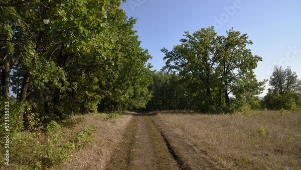 Obraz path in the park