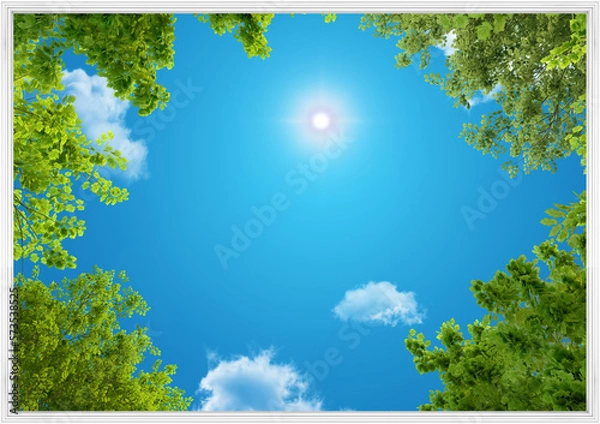 Obraz Ceiling wallpapers with blue sky, clouds, sun, tree branches - 3d rendering