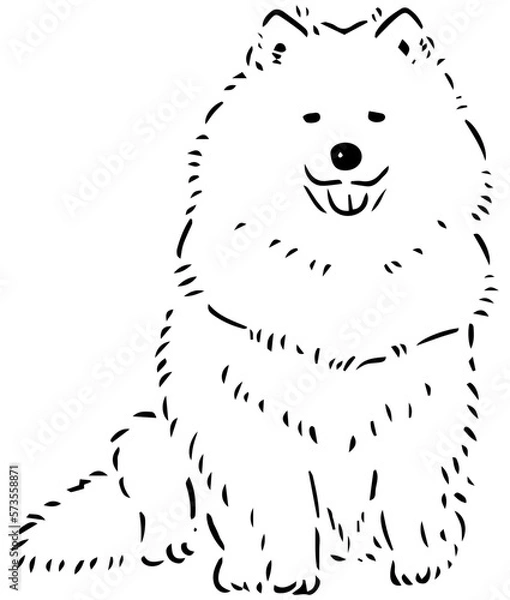 Obraz dog line drawing