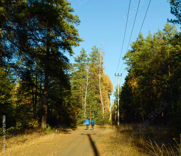 Fototapeta Two guys are walking in the middle of the autumn forest with power lines