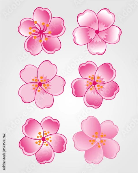 Obraz cherry blossom