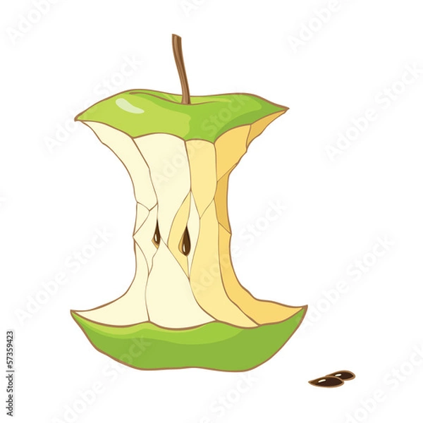 Obraz Green apple core