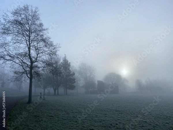 Fototapeta Landscape shot of a park covered in morning mist