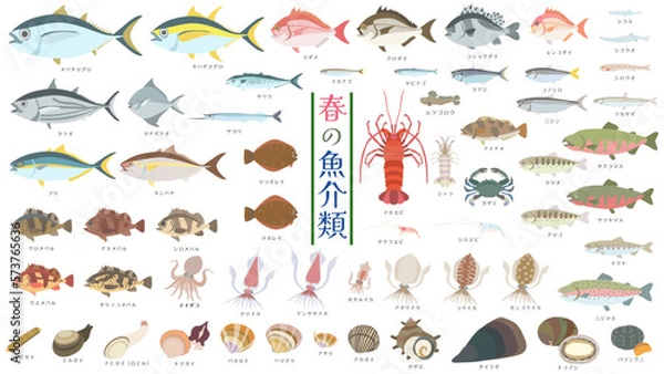 Obraz 春が旬の魚介類。海鮮イラストセット。フラットなベクターイラスト。マグロ、タイ、ブリ、ヒラメ、メバル、青魚、タコやイカ、貝類、ウニ、イセエビ、川魚など60種類の魚介類イラストセット