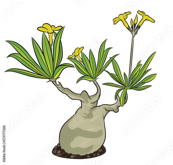 Obraz botanical plant