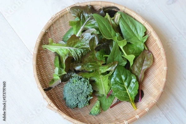 Obraz 収穫したレタスとブロッコリー