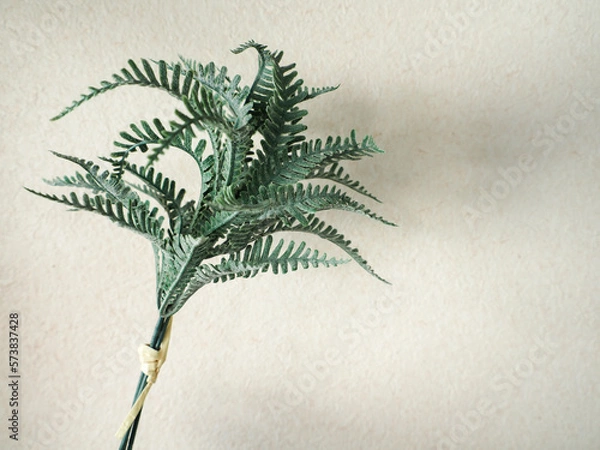 Obraz ナチュラルな葉っぱ