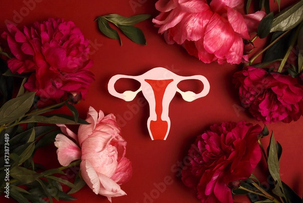 Obraz Symbolic model of the uterus with peonies flowers on a red background.
