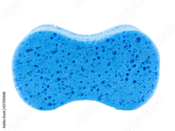 Obraz blue sponge isolated on white