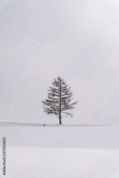 Obraz マイルドセブンの丘