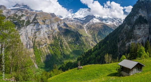 Fototapeta amazing landscape on alps during spring in Lauterbrunnen in Switzerland