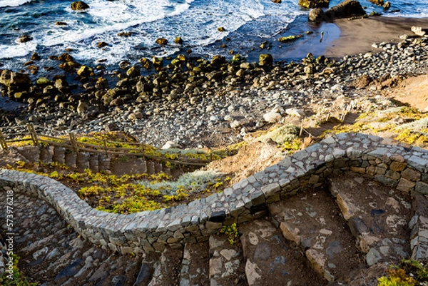 Obraz lizard on the stone