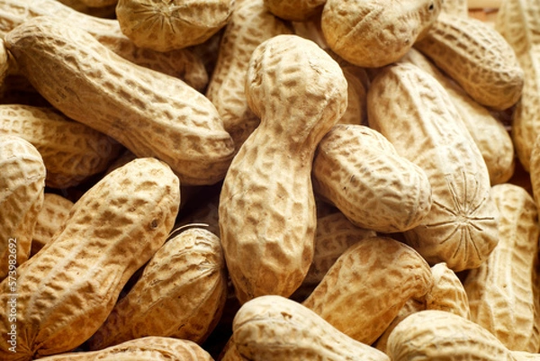 Fototapeta 落花生