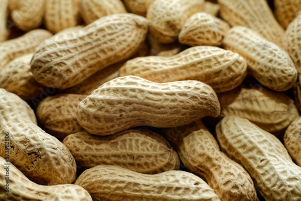 Fototapeta 落花生