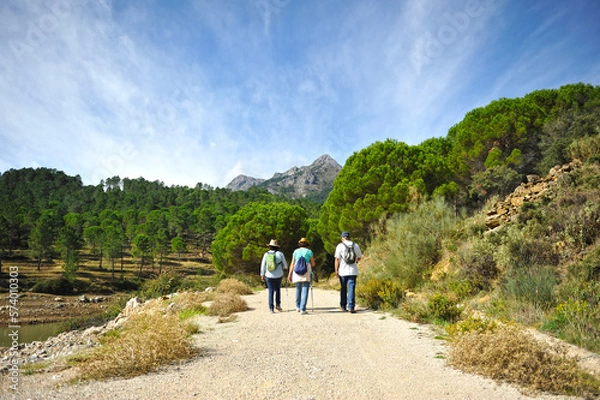 Fototapeta Hikers in the mountains of Andalusia. Hike in Grazalema Natural Park, province of Cadiz, Andalusia, Spain. Pine forests of Sierra of Grazalema.