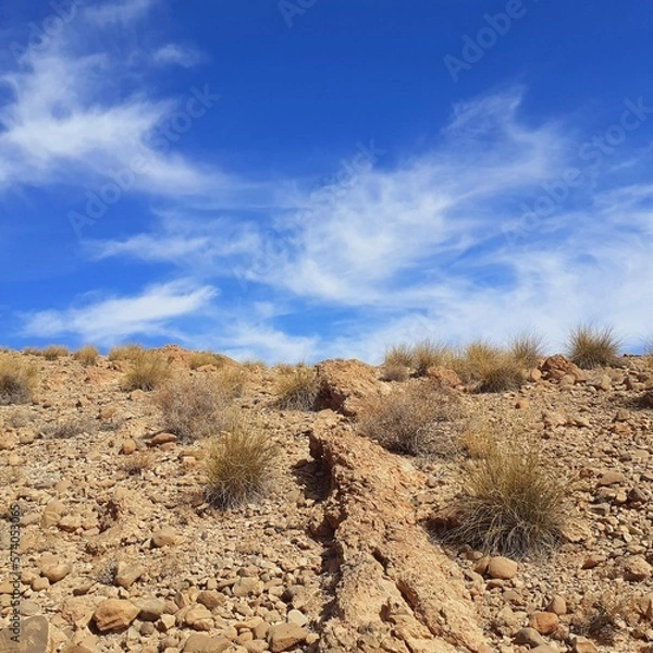 Obraz landscape with sky