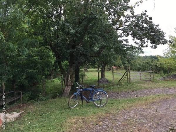 Obraz old blue bicycle in the garden by the tree