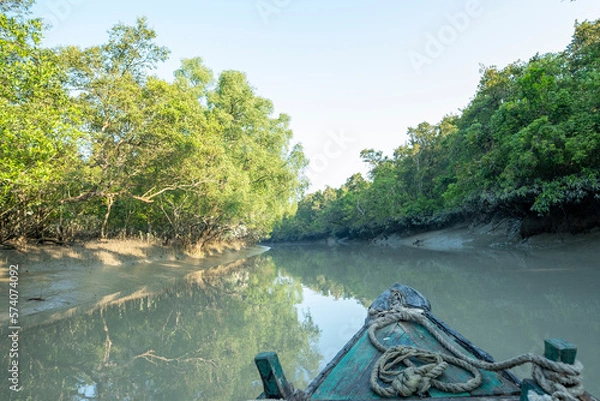 Obraz Sundarbans