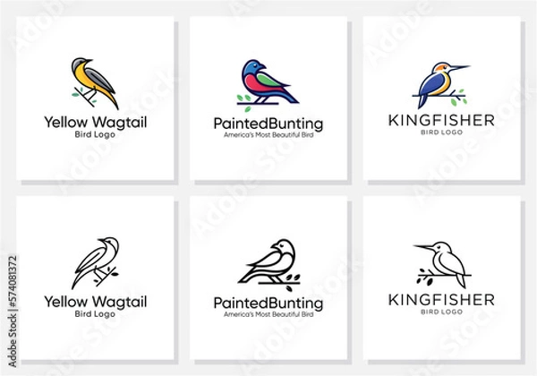 Fototapeta Bird logo creative bundle collection.