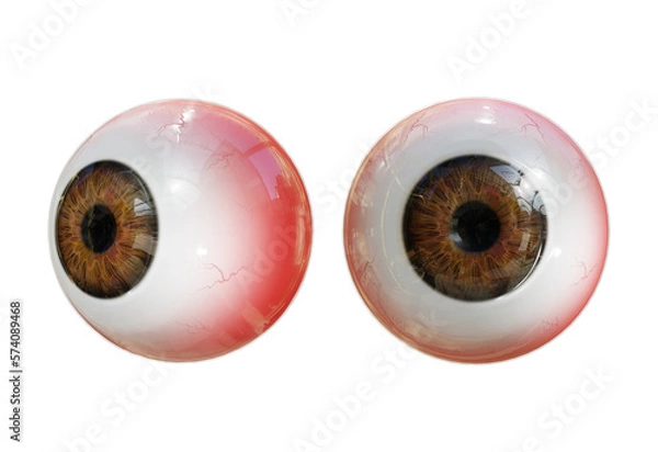 Obraz 3d rendering human eye organs perspective view