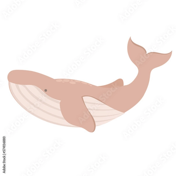Fototapeta whale