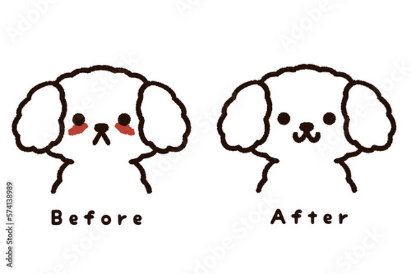 Fototapeta 涙やけのある犬のビフォーアフター