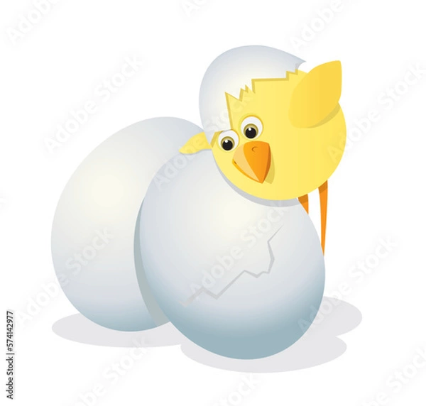 Obraz eggs and chicken