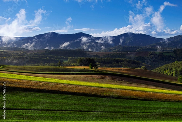 Obraz 夕暮れ時の丘と湧く雲(美瑛町
