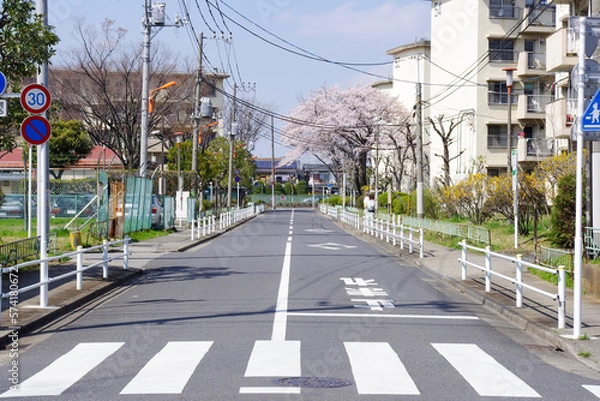 Obraz 桜咲く春の住宅街