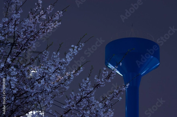 Obraz 夜の給水塔と桜