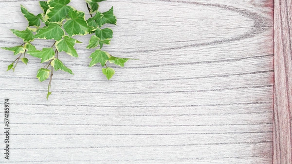 Obraz 木目背景とグリーン