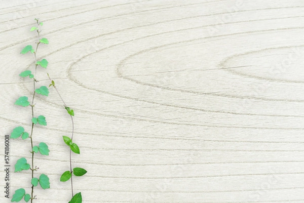 Obraz 木目背景とグリーン