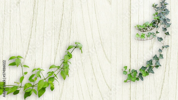 Obraz 木目背景とグリーン