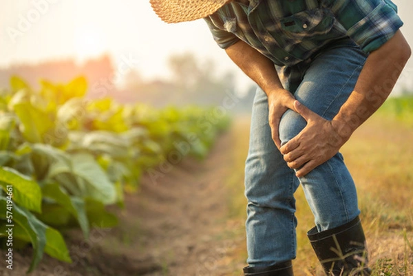 Fototapeta Injuries or Illnesses, that can happen to farmers while working. Man is using his hand to cover over knee because of hurt,  pain or feeling ill.