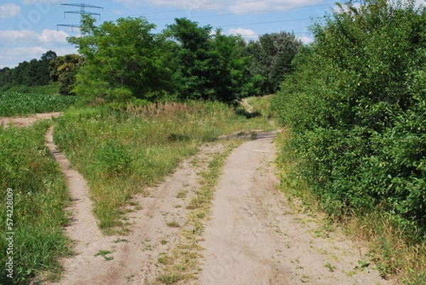 Obraz dirt road in summer