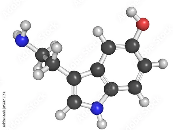 Fototapeta Chemical structure of serotonin