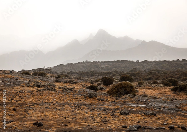 Fototapeta The Cold and Pristine Beauty of a Cascading Mountain Peak