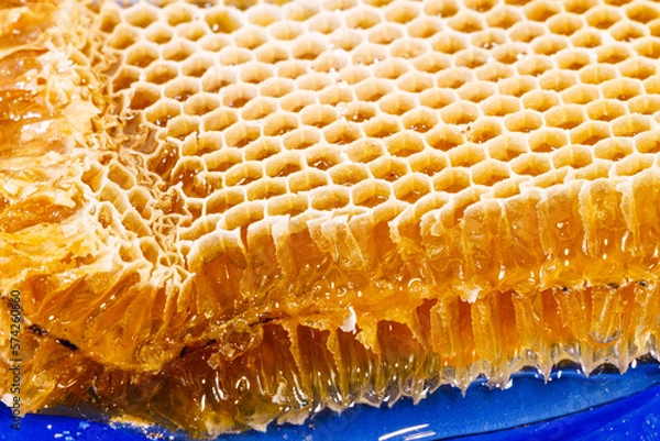 Obraz close-up of honeycombs with honey