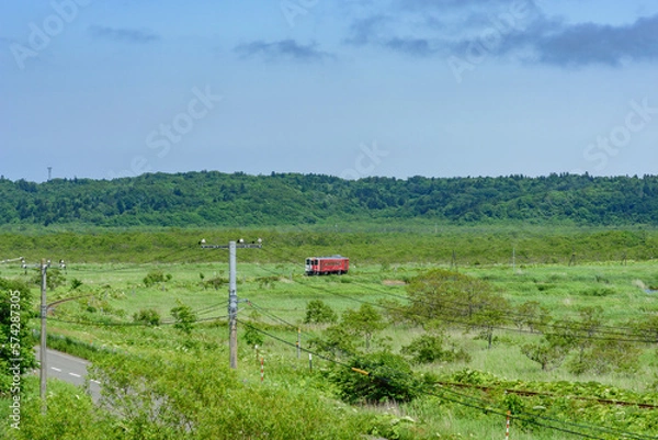 Obraz 道東厚岸の別寒辺牛（べかんべうし）湿原
