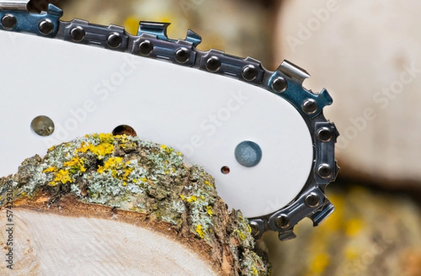 Fototapeta Sharp steel teeth on chainsaw detail at sawing natural wood log and blurred woodpile on background. Closeup of modern metal saw chain on guide bar of portable power cutting tool at firewood preparing.