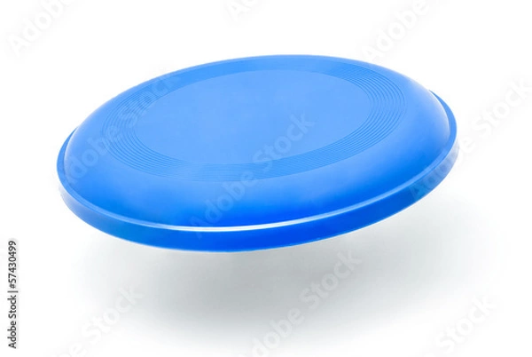 Obraz frisbee