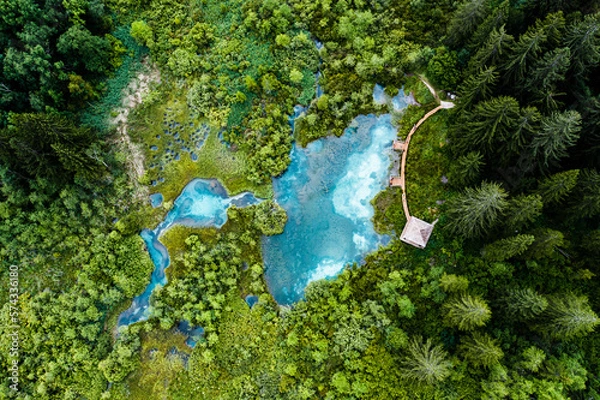 Fototapeta Aerial view of blue lakes with underground springs in forest area with wooden boardwalks