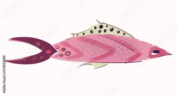 Obraz Pink fish on a white background