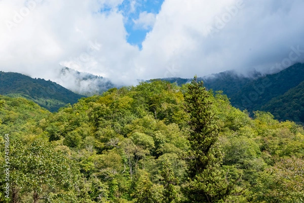 Fototapeta Mountains and forests of Abkhazia.