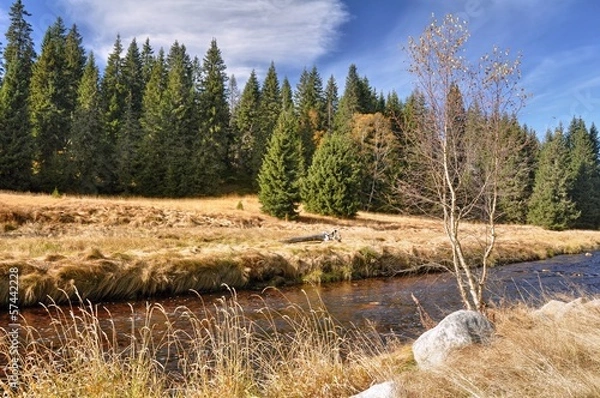 Fototapeta Autumn river