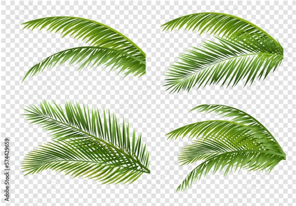 Obraz palm tree leaves
