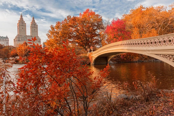 Fototapeta Bow Bridge in central park at New York city during Autumn