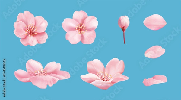 Obraz Pink cherry blossom element set