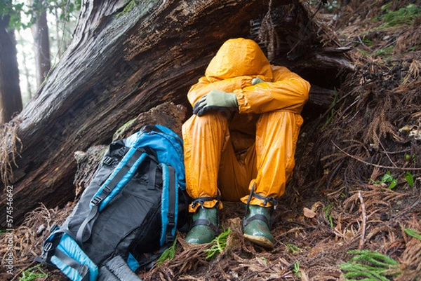 Obraz 森で遭難して座り込んでいる男性